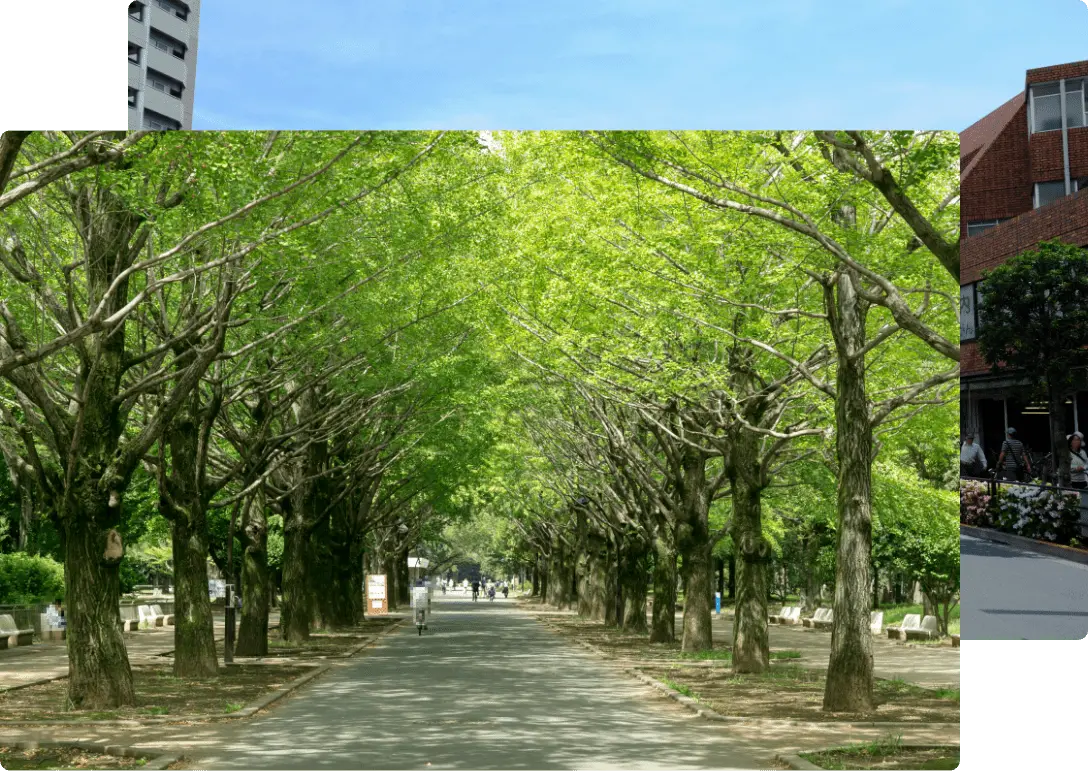 練馬区の家・土地を売却する